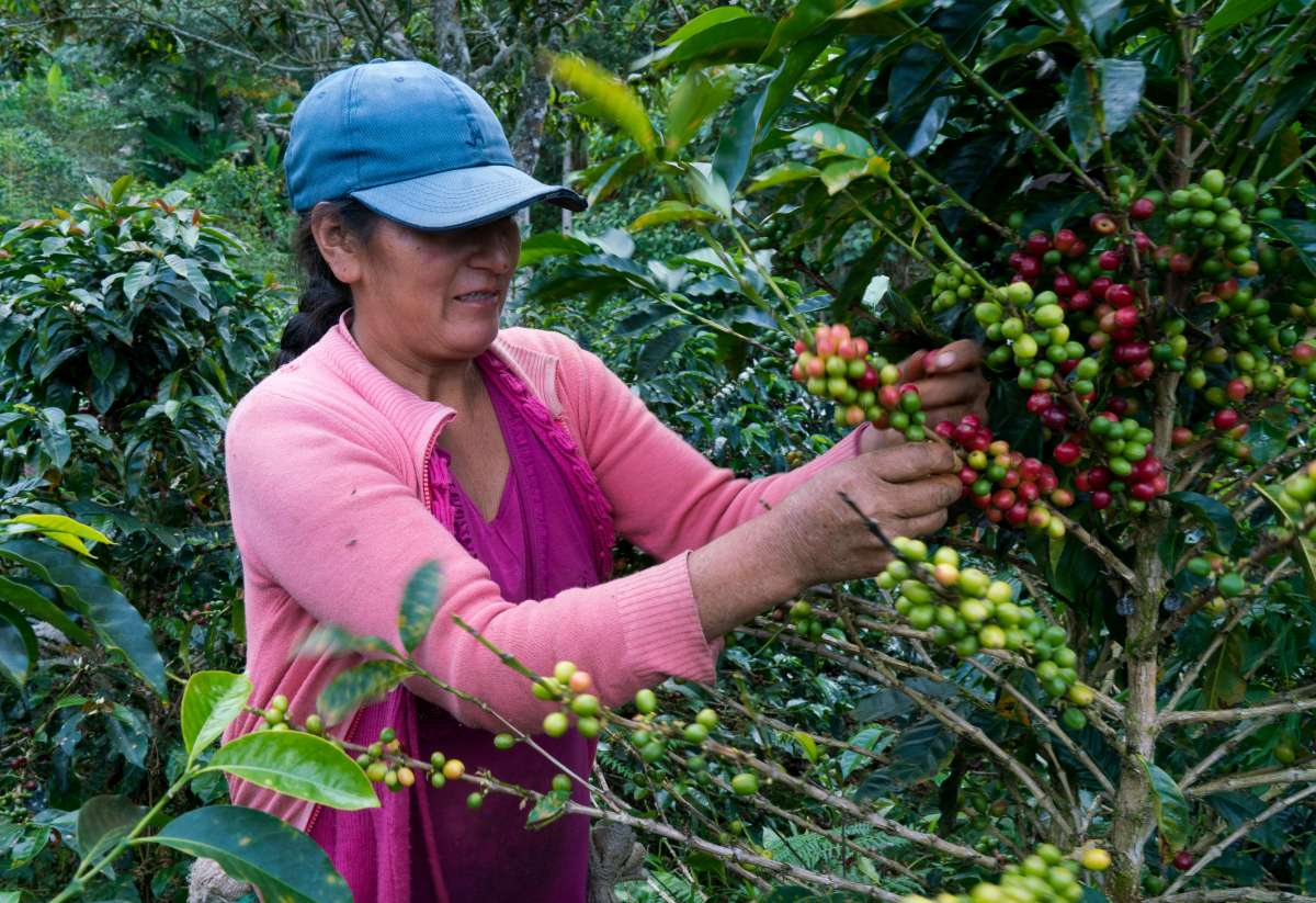 PERU EL PUNO