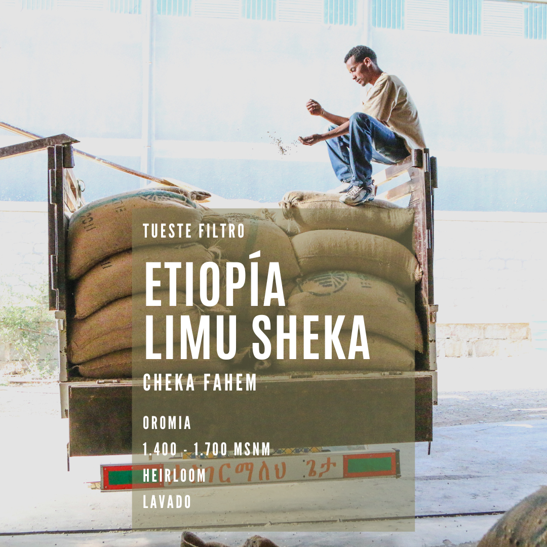 ETIOPÍA LIMU SHEKA