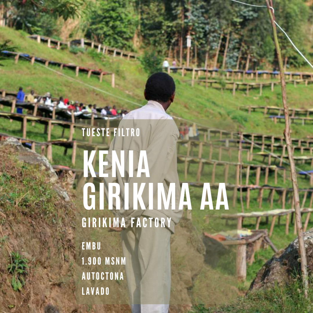KENIA GIKIRIMA AA AEROPRESS CHAMPIONSHIP